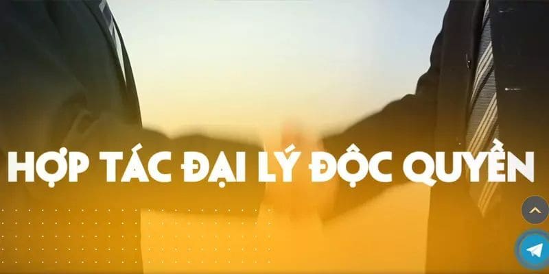 Hướng dẫn các bước để trở thành đại lý XO88 dành cho mọi tân binh